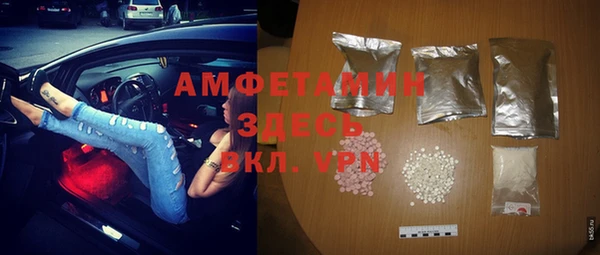 ГАЛЛЮЦИНОГЕННЫЕ ГРИБЫ Вяземский