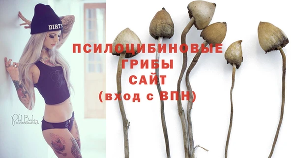 эйфоретик Вязьма
