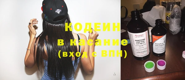 ГАЛЛЮЦИНОГЕННЫЕ ГРИБЫ Вяземский