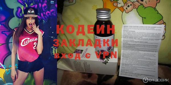 ГАЛЛЮЦИНОГЕННЫЕ ГРИБЫ Вяземский