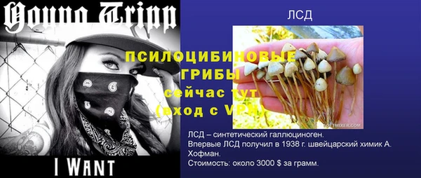 эйфоретик Вязьма