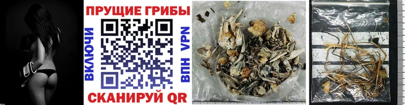 Псилоцибиновые грибы прущие грибы  Щучье 